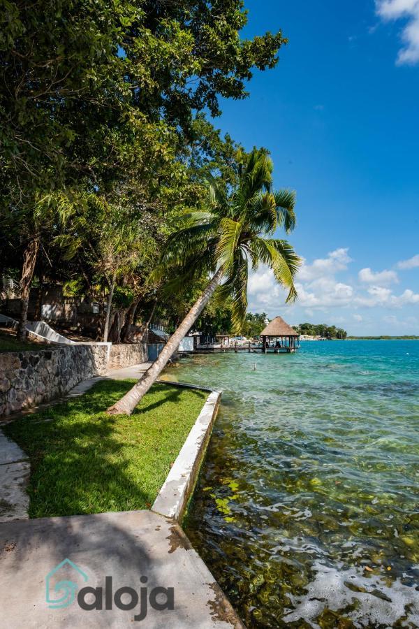Villa Xtohil With Private Access To The Magic 7 Colors Lagoon 巴卡拉尔 外观 照片