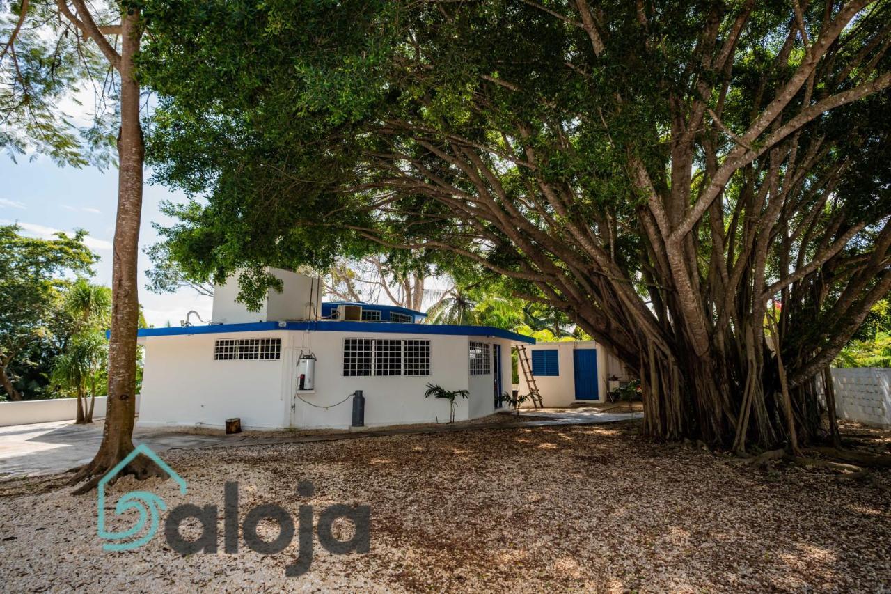 Villa Xtohil With Private Access To The Magic 7 Colors Lagoon 巴卡拉尔 外观 照片
