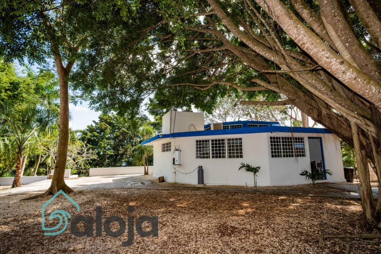 Villa Xtohil With Private Access To The Magic 7 Colors Lagoon 巴卡拉尔 外观 照片