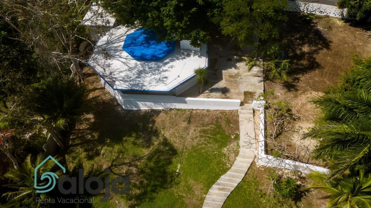 Villa Xtohil With Private Access To The Magic 7 Colors Lagoon 巴卡拉尔 外观 照片